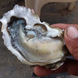 Meet your Posher, Sergio